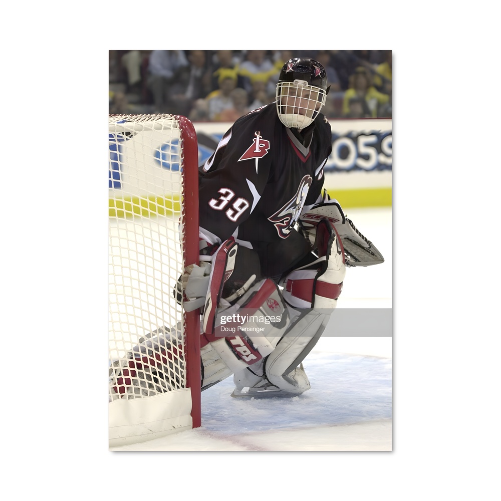 Poster Legend of the Masked Goalie